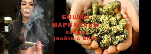 PSILOCYBIN Верхний Тагил