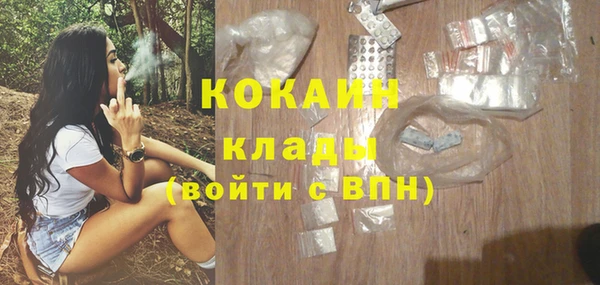 PSILOCYBIN Верхний Тагил