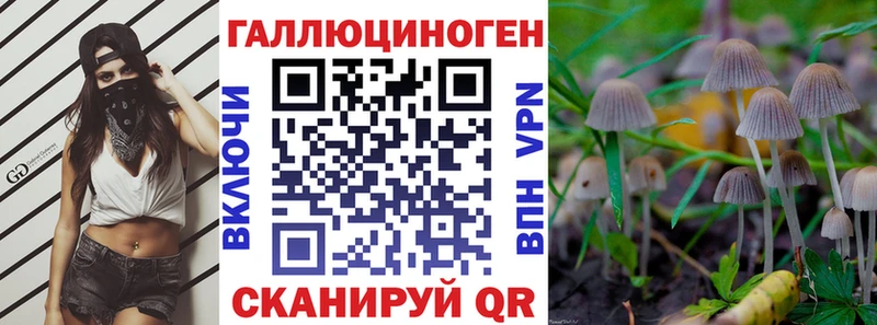 Галлюциногенные грибы Psilocybe  мега зеркало  Новый Оскол  маркетплейс как зайти  где продают  